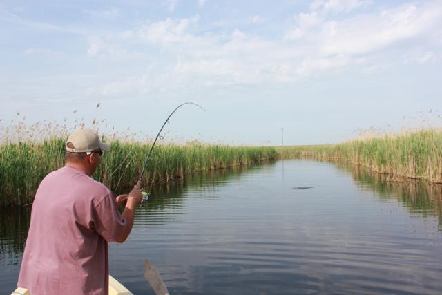 Delta Dunarii - 11.jpg